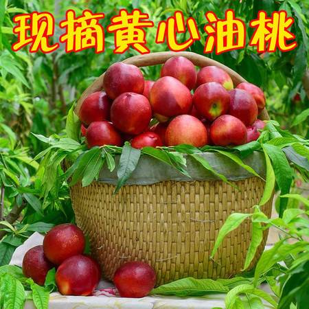 現(xiàn)摘當(dāng)季時令新鮮水果黃油桃3斤包郵 非水蜜非毛桃，這才是夏天的甜蜜滋味